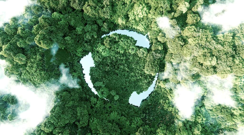 Sotenibilidad del planeta