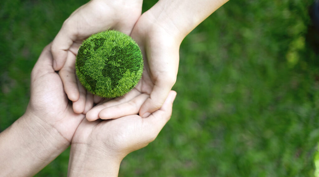 Ventajas medioambientales caña de trigo
